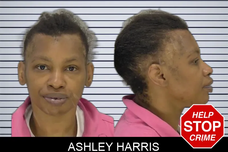 Ashley Harris Mugshots