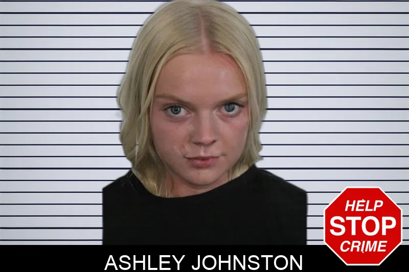 Ashley Johnston Mugshots