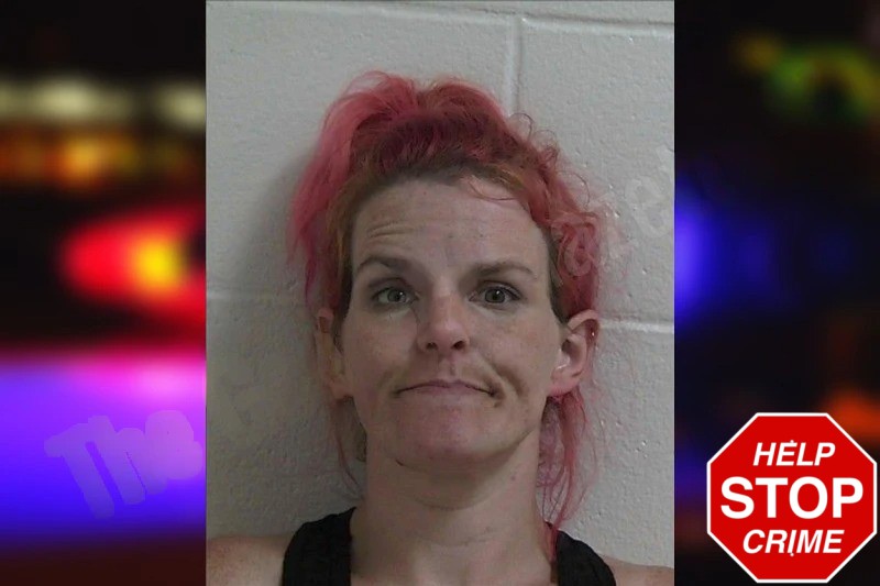 Ashley Kelley Mugshots