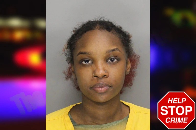 Ashley Kibor Mugshots