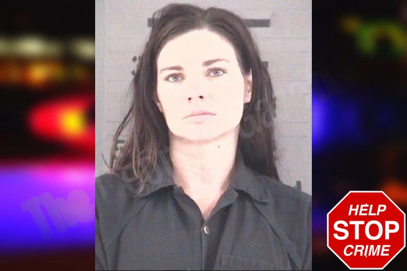 Ashley Lewis Mugshots