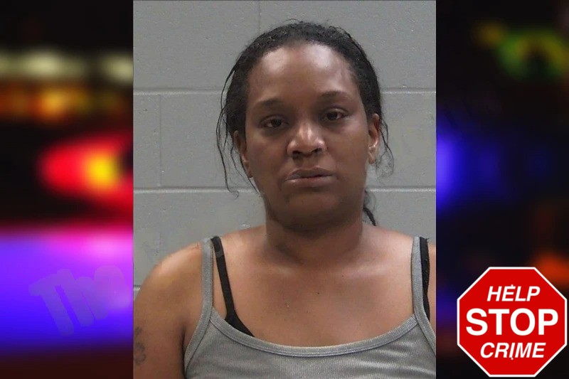 Ashley Miller Mugshots