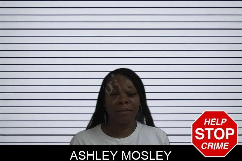 Ashley Mosley Mugshots
