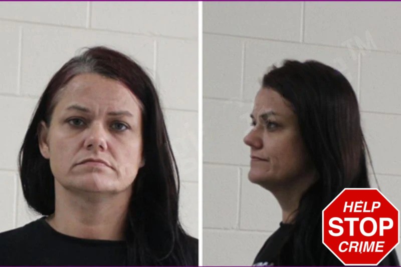 Ashley Nicholson Mugshots