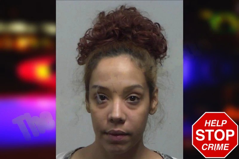 Ashley Nieves Mugshots