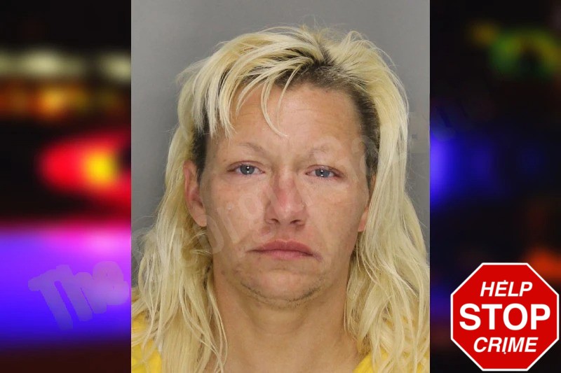 Ashley Parks Mugshots