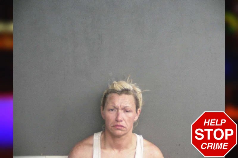 Ashley Parks Mugshots