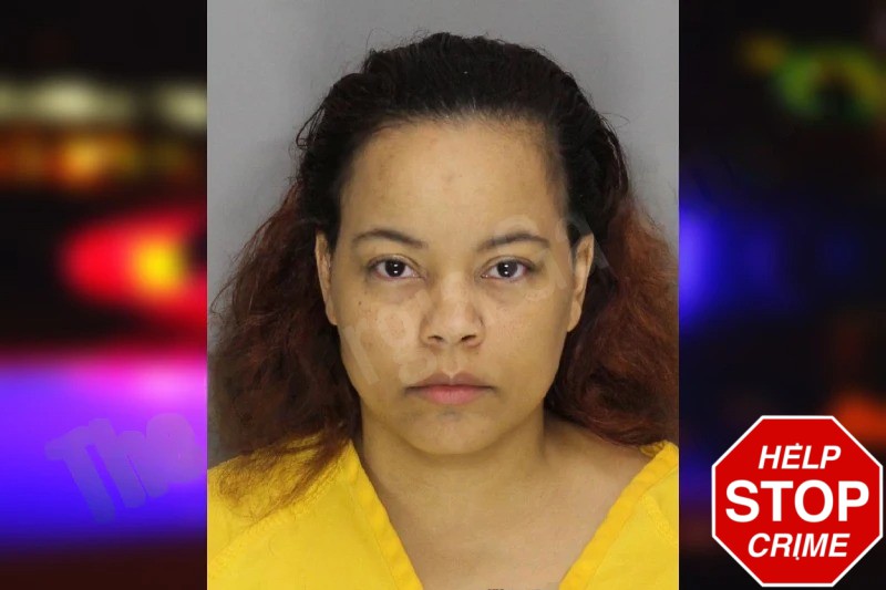 Ashley Pecks Mugshots