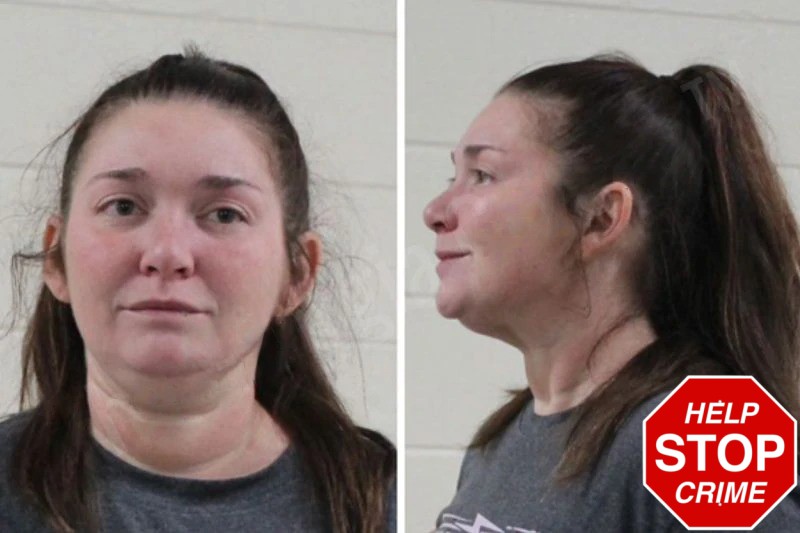 Ashley Price mugshot