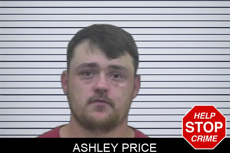 Ashley Price Mugshots