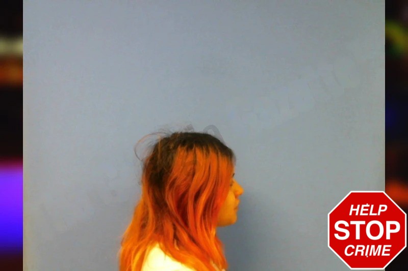 Ashley Ramirez Mugshots