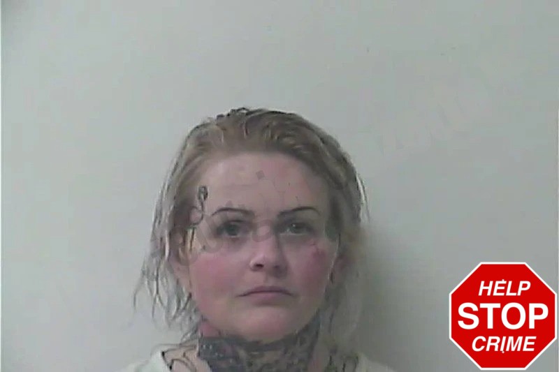 Ashley Raywood Mugshots