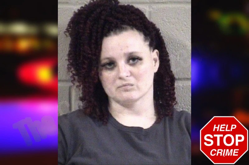 Ashley Robertson Mugshots