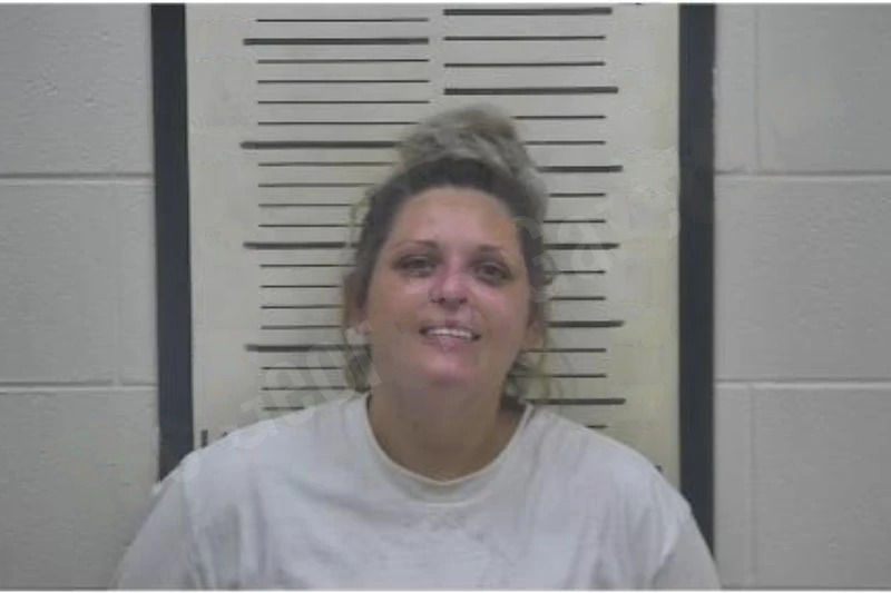 Ashley Salyers Mugshots
