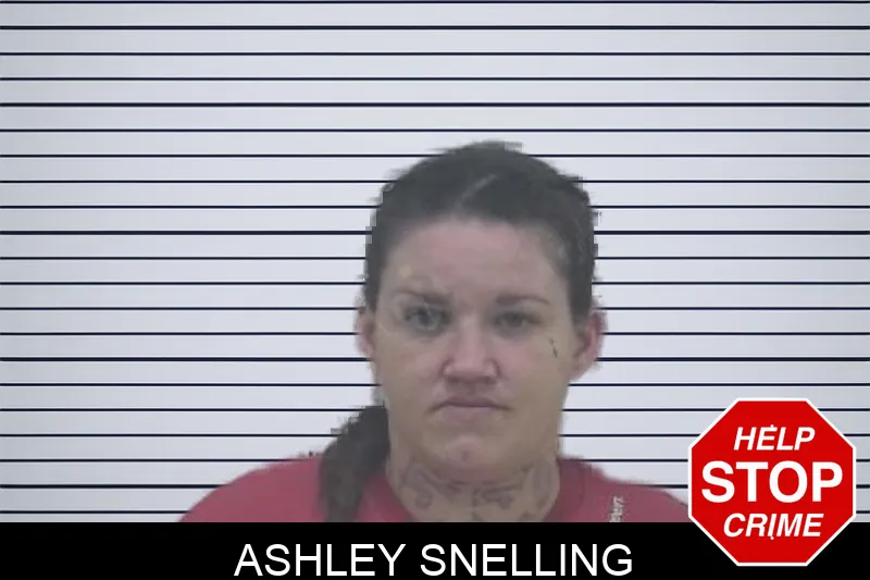 Ashley Snelling Mugshots