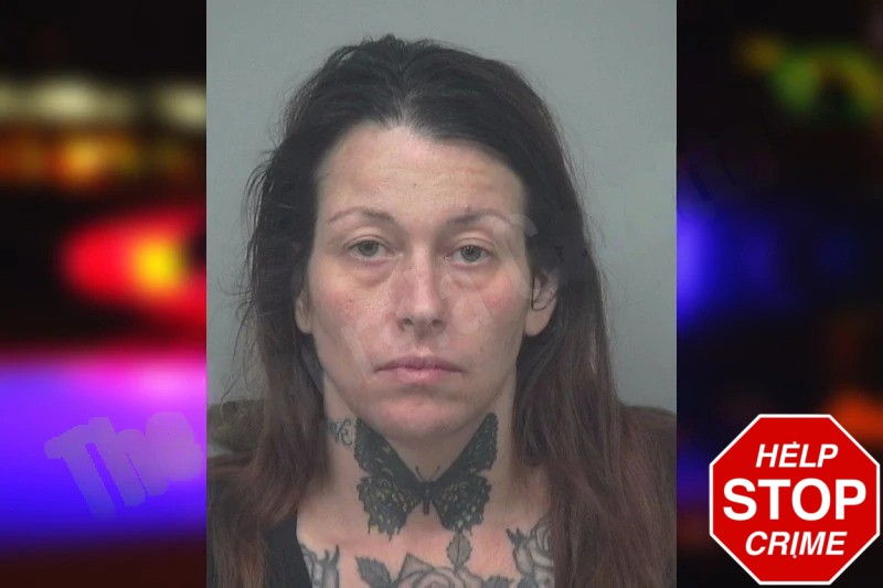 Ashley Vicente Mugshots