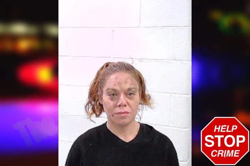 Ashley White Mugshots