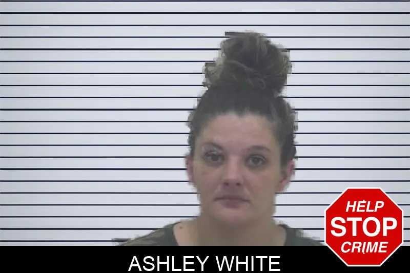 Ashley White Mugshots