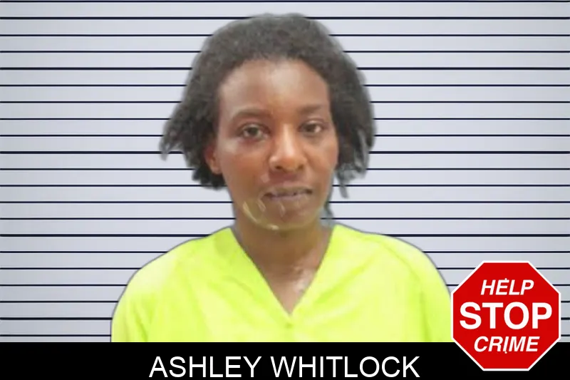 Ashley Whitlock Mugshots