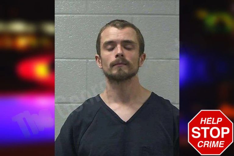 Ashley Wilson mugshot – Gilmer County , Georgia Ashley Wilson