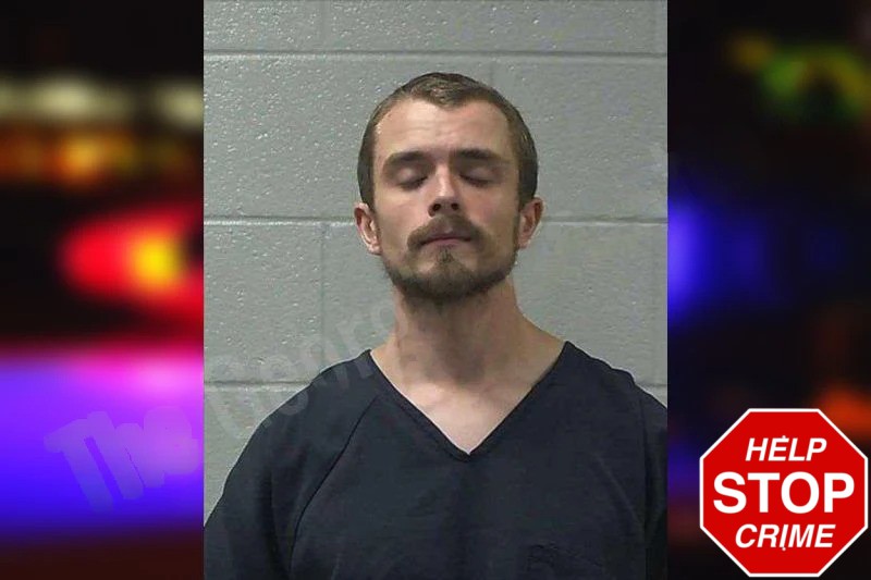 Ashley Wilson Mugshots