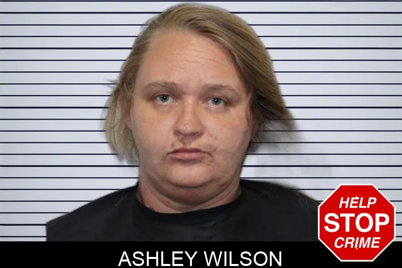 Ashley Wilson Mugshots