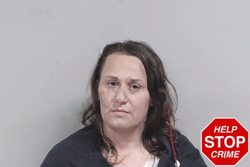 Ashley Winters Mugshots