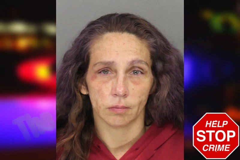 Ashly Tucker mugshot – Cobb County , Georgia Ashly Tucker mugshot