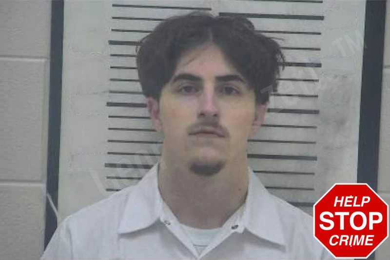 Ashton Marotta Mugshots