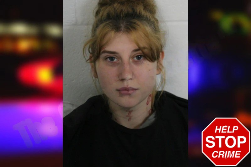 Aubree Cobb Mugshots