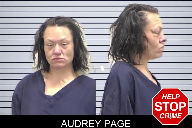 Audrey Page Mugshots