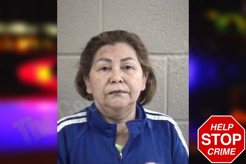 Aura Perez-Villagran Mugshots