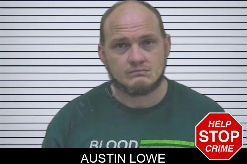 Austin Lowe Mugshots