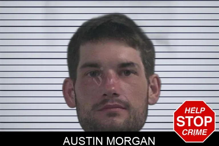 Austin Morgan mugshot – McDuffie County , Georgia Austin Morgan