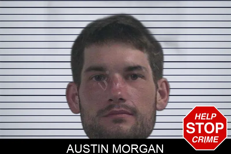 Austin Morgan Mugshots