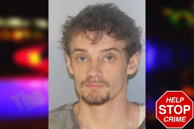 Austin Nedell Mugshots