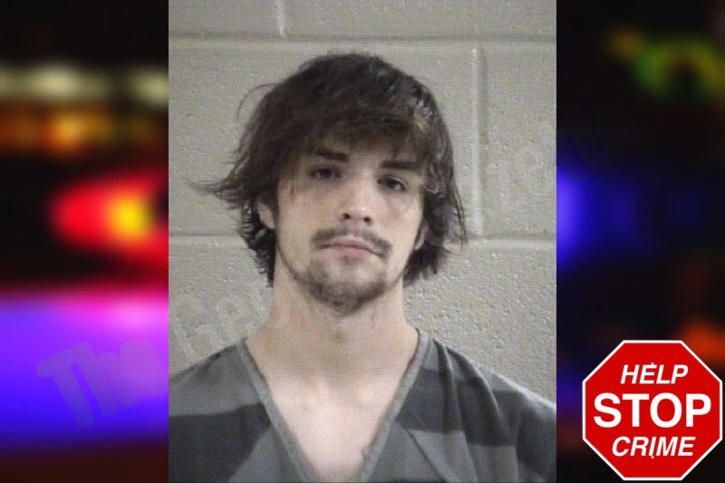 Austin Weaver mugshot