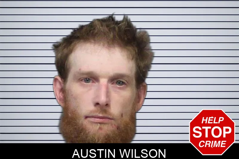 Austin Wilson Mugshots