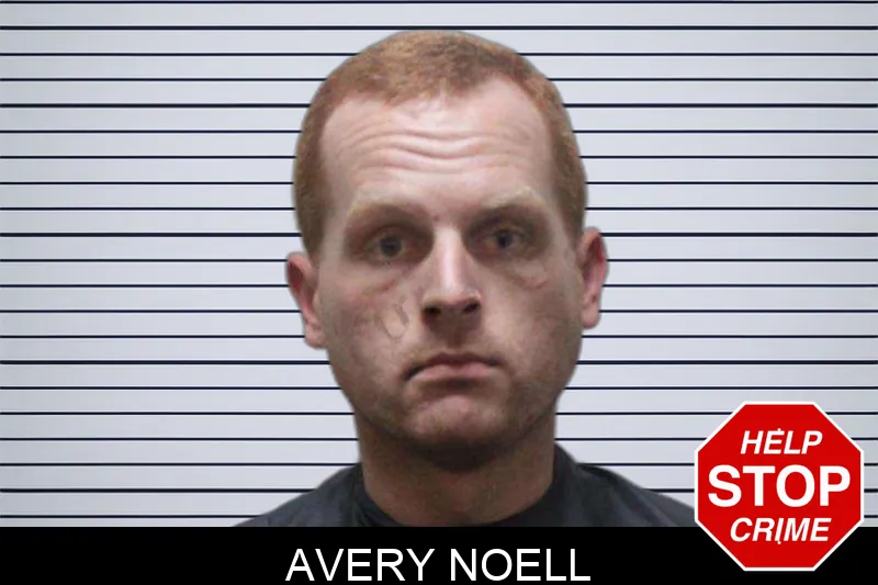 Avery Noell mugshot – Haralson County , Georgia Avery Noell mugshot