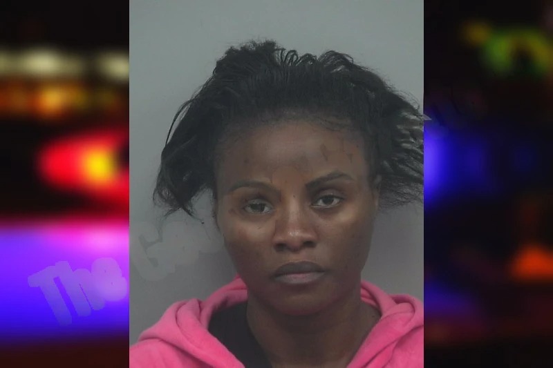 Bambi Ndjibu Mugshots