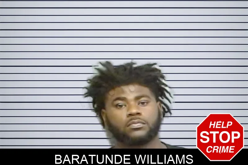 Baratunde Williams Mugshots