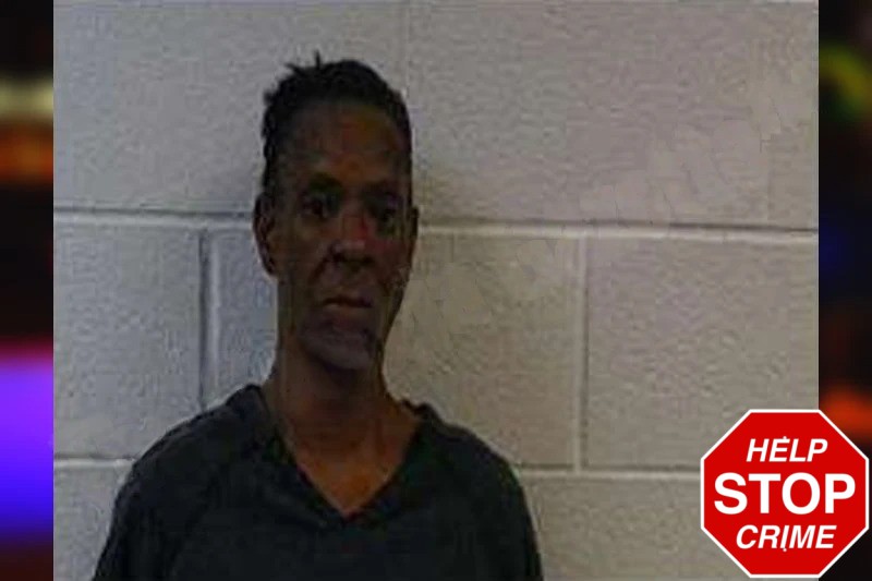 Barbara High Mugshots