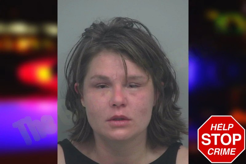 Barbara Weisenborn mugshot