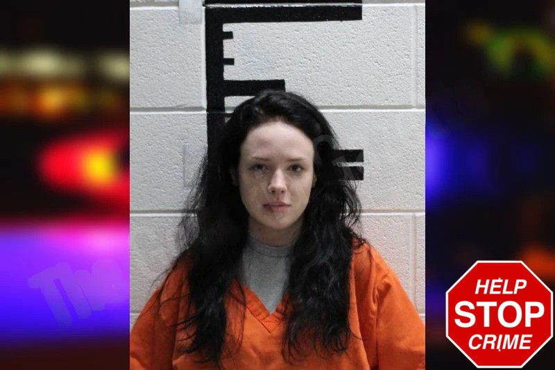 Barrett Miller Mugshots