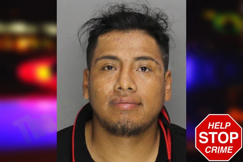 Bayron Perez Mugshots