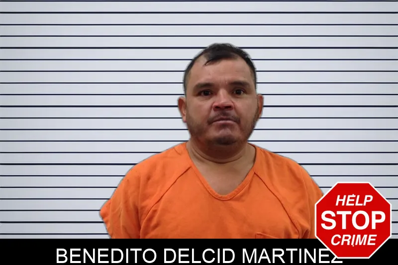 Benedito Delcid Martinez Mugshots