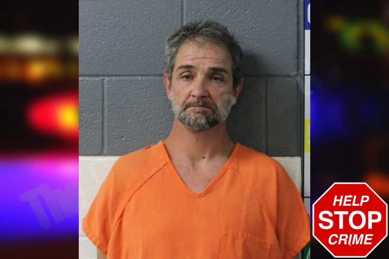 Bernice Capps Mugshots