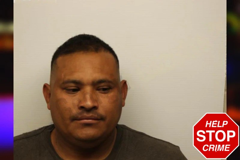 Bernis Sanchez mugshot