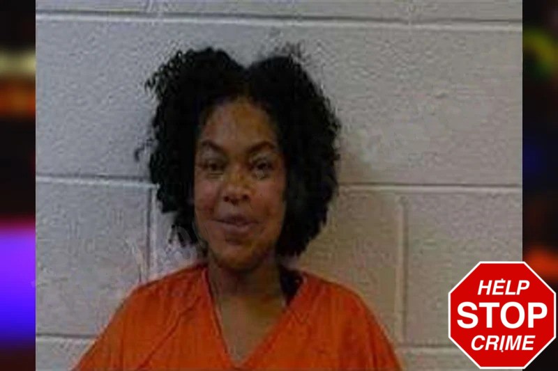 Bethani Stocks mugshot – Polk County , Georgia Bethani Stocks mugshot