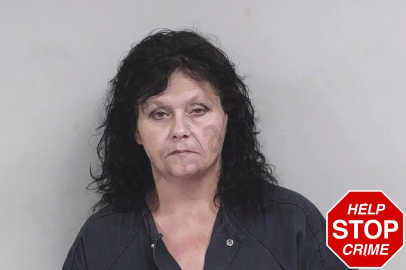 Betty Robinette mugshot – Lowndes County , Georgia Betty Robinette mugshot